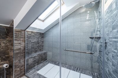 Frameless Shower Doors